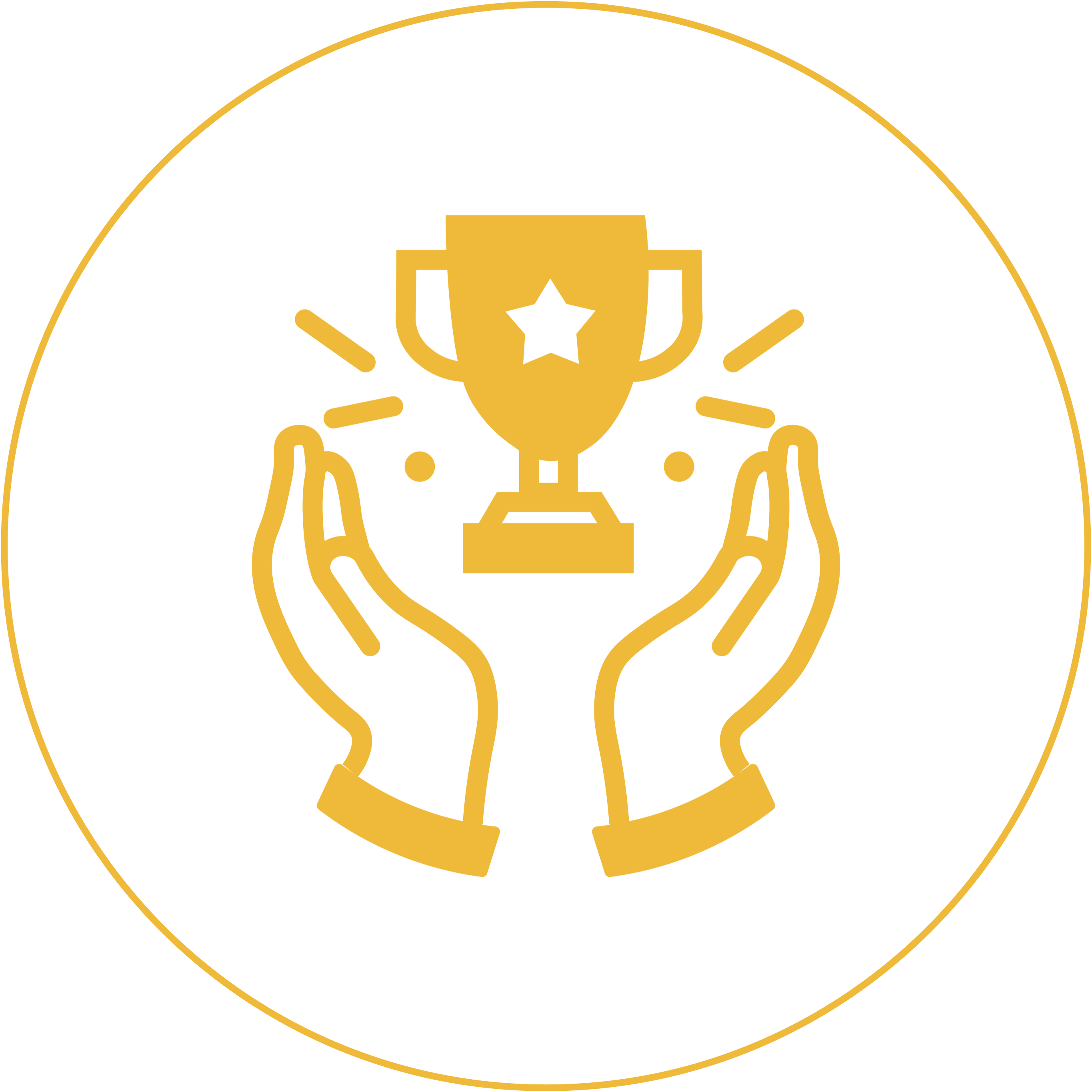 Success Icon